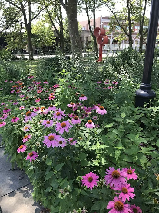 Crane Park Picture 8