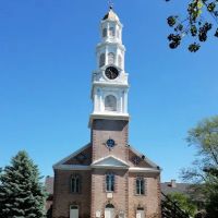 Bloomfield Green ico