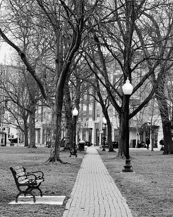 Bloomfield Green Picture 8