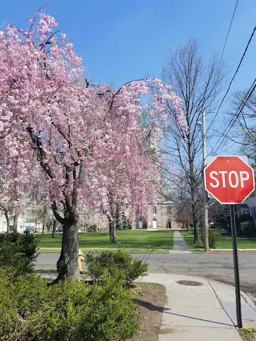 Bloomfield Green Picture 7