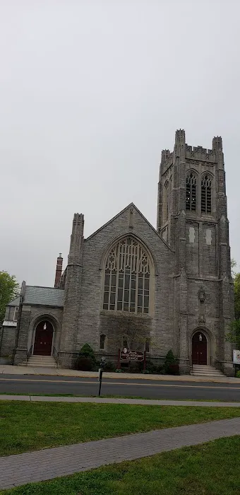 Bloomfield Green Picture 4