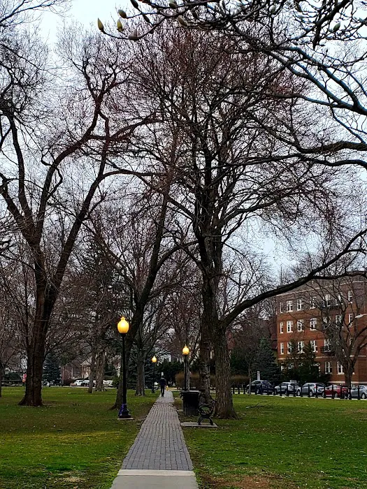 Bloomfield Green Picture 10