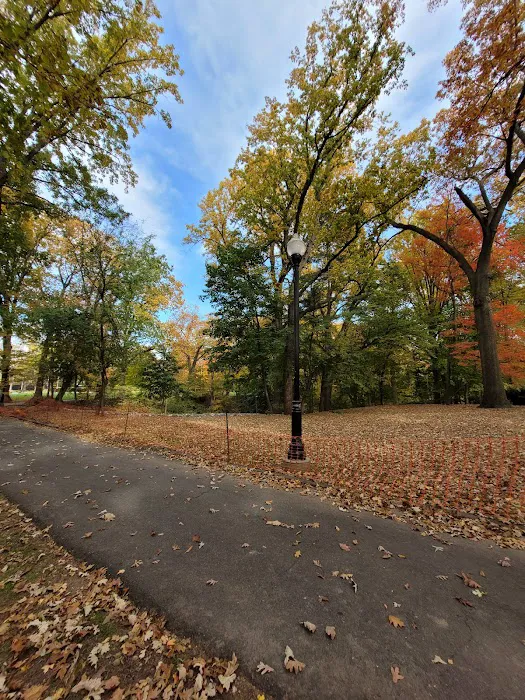 Glenfield Park Picture 6