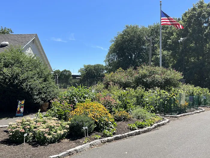 Butterfly Garden Picture 3
