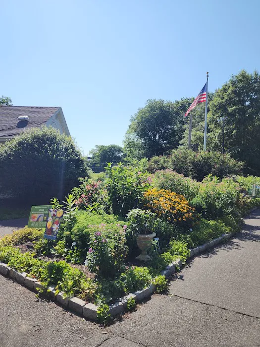 Butterfly Garden Picture 6