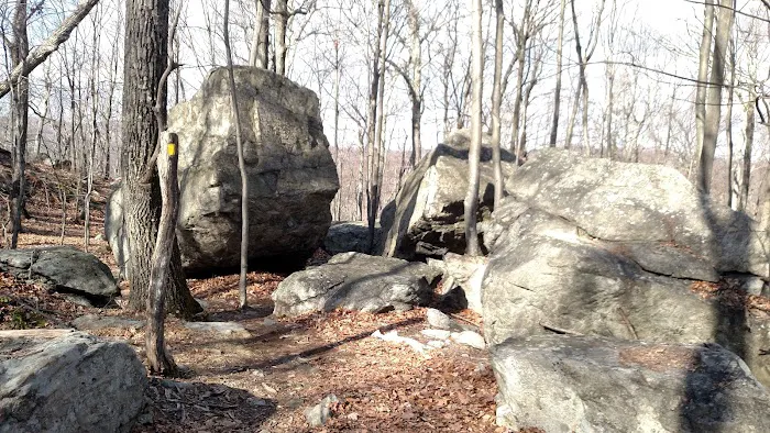 Kincaid Woods Picture 5