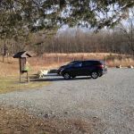 Kincaid Woods