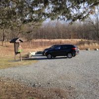 Kincaid Woods ico