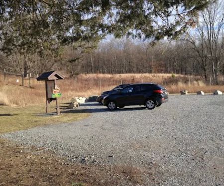 Kincaid Woods