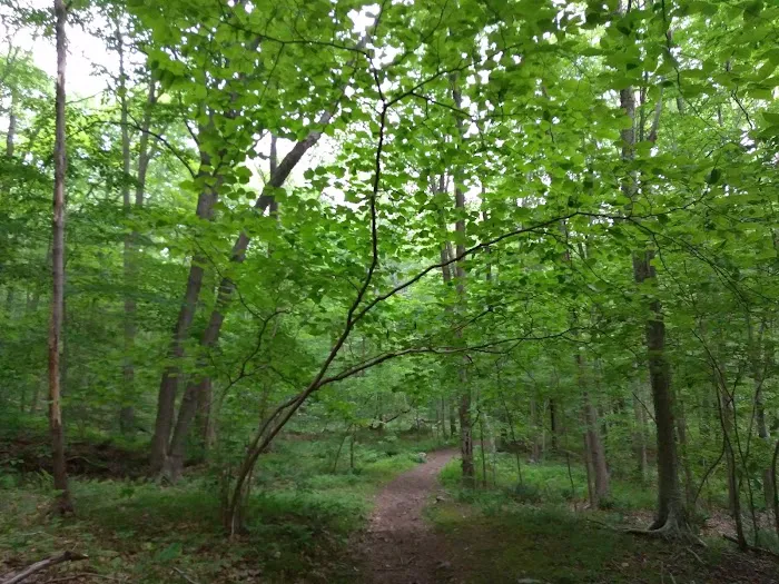 Kincaid Woods Picture 6