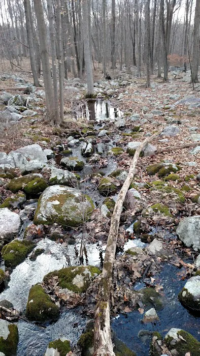 Kincaid Woods Picture 7