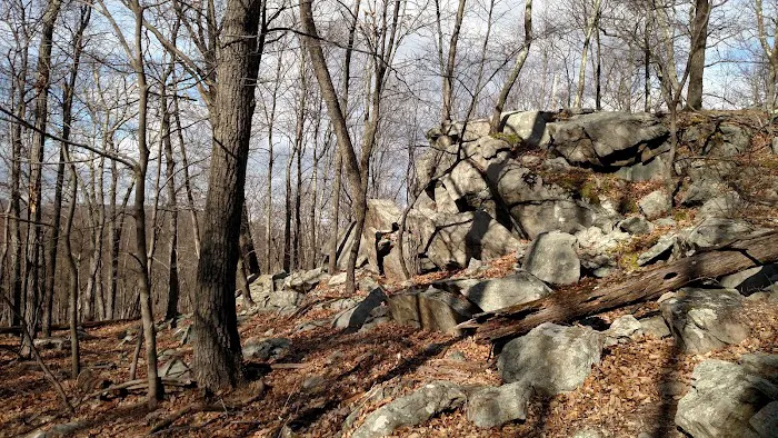 Kincaid Woods Picture 8
