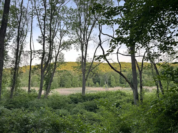 Tourne County Park Picture 6