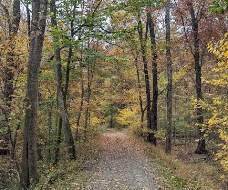 Tourne County Park