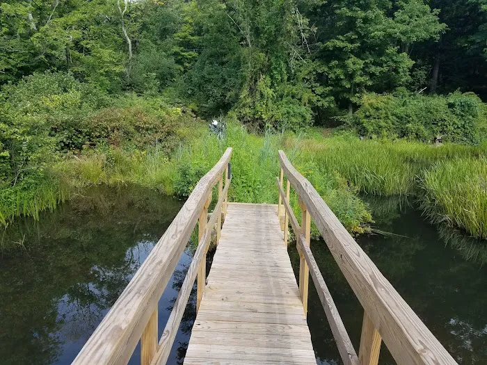 Sasso Tract / Beaver Brook Picture 1