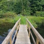 Sasso Tract / Beaver Brook