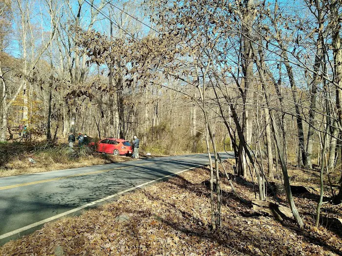 Sasso Tract / Beaver Brook Picture 8