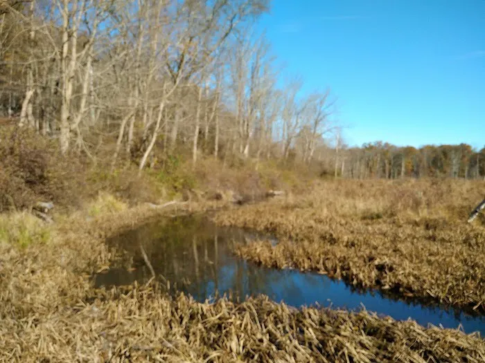 Sasso Tract / Beaver Brook Picture 4