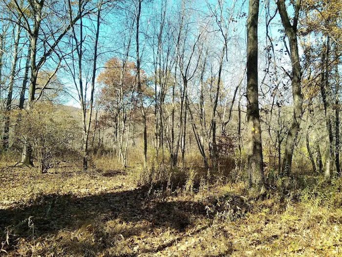 Sasso Tract / Beaver Brook Picture 3