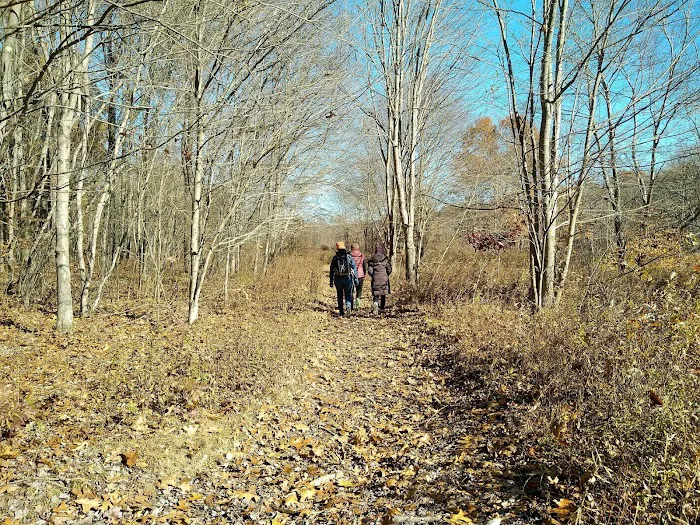 Sasso Tract / Beaver Brook Picture 7