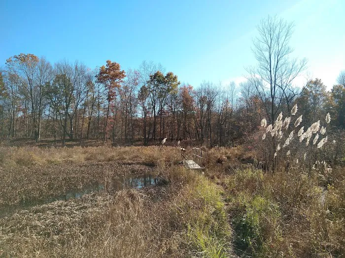Sasso Tract / Beaver Brook Picture 6
