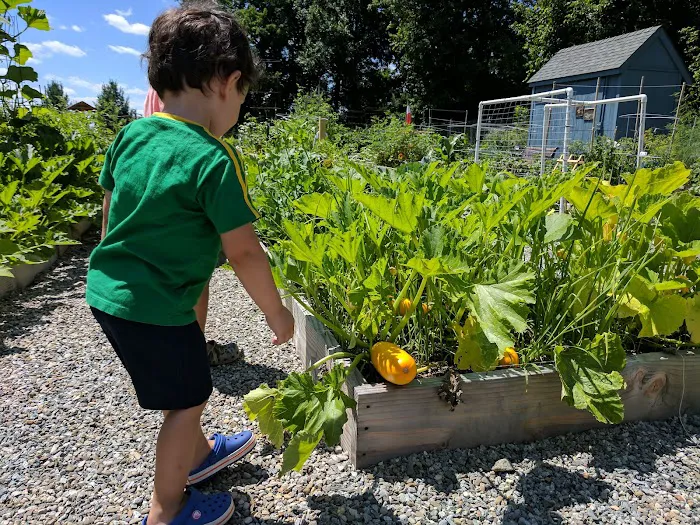 Pequannock Township Community Garden Picture 4