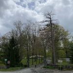 Mount Tabor