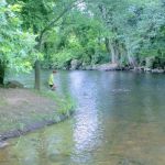 McCarter Park