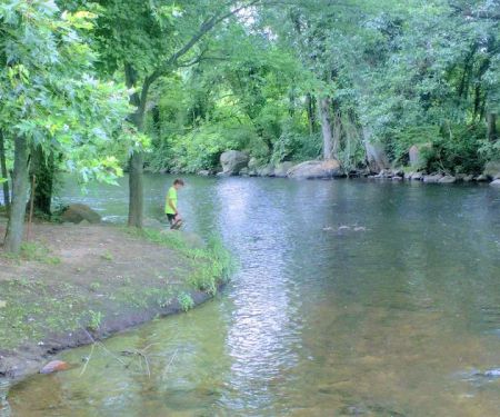 McCarter Park