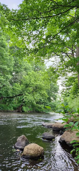 McCarter Park Picture 8