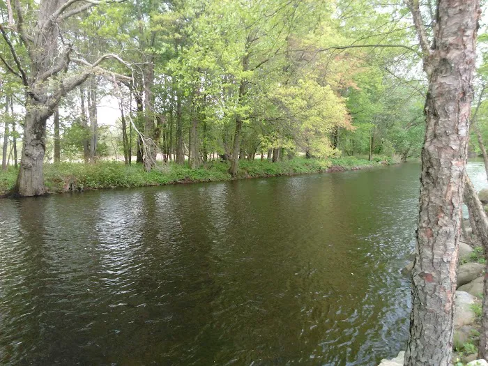 McCarter Park Picture 4