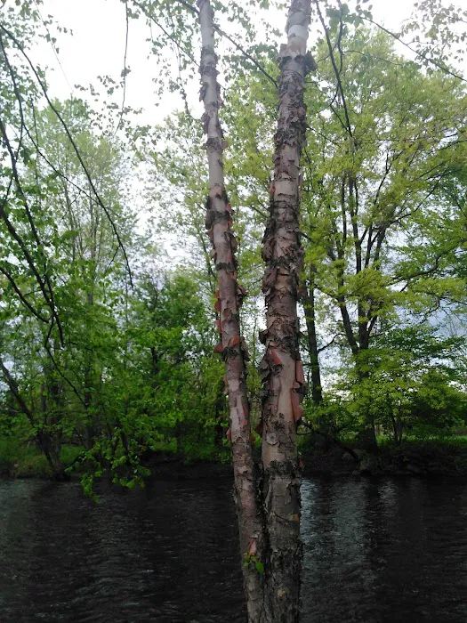 McCarter Park Picture 9