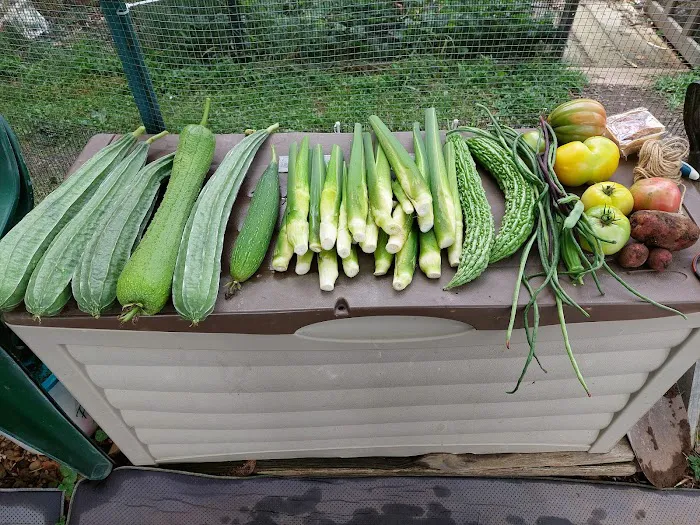 Denville Community Gardens Picture 5
