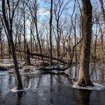 Canoe Launch