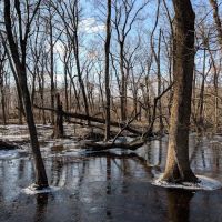 Canoe Launch ico