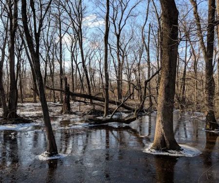 Canoe Launch