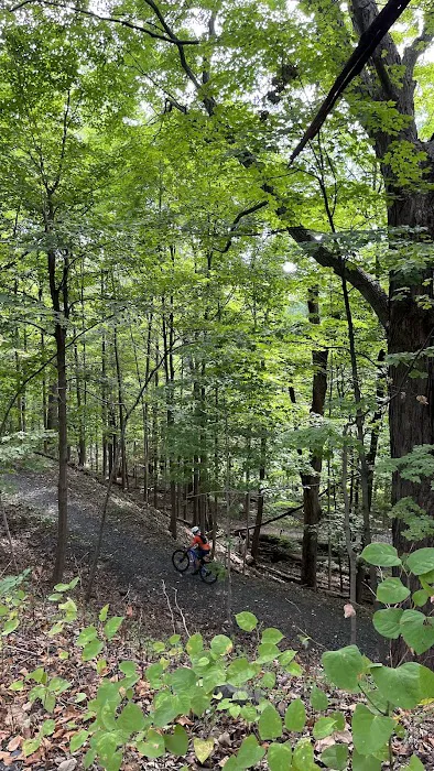 South Mountain Lenape Trail Picture 2