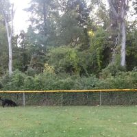 Boland Park ico