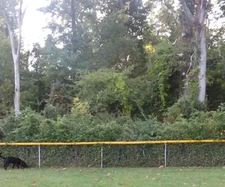 Boland Park