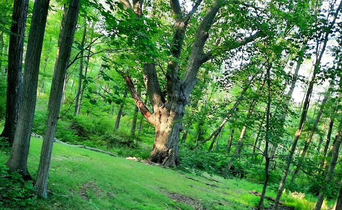 Boland Park Picture 4