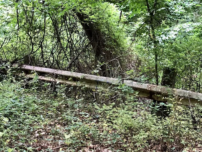 Valley View Drive Trail Access Picture 4