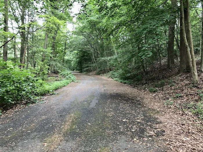 Valley View Drive Trail Access Picture 1