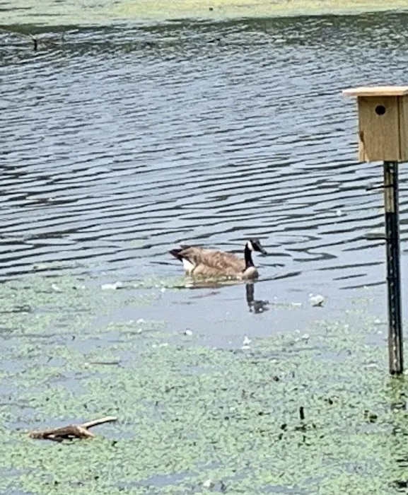Essex County Park Picture 9