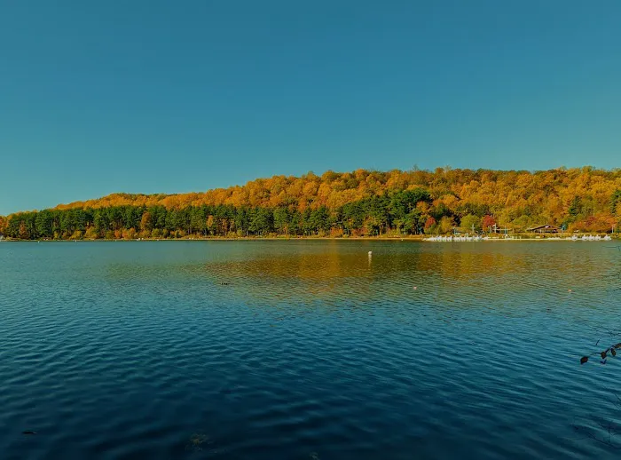 Essex County Park Picture 5