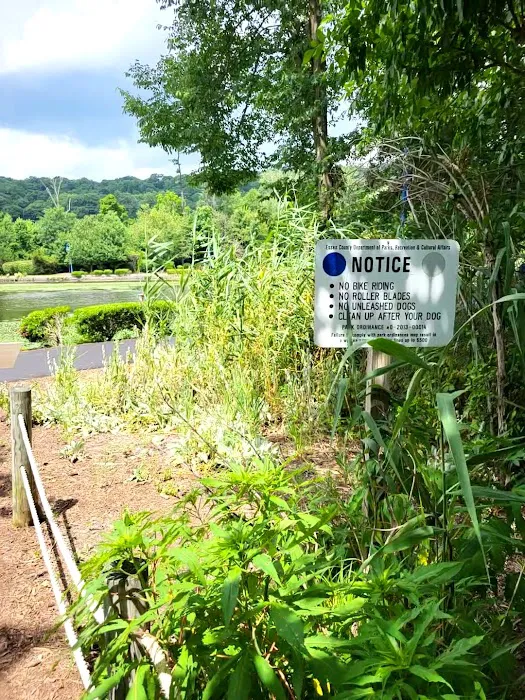 Essex County Waterfront Picture 2