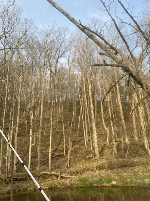 Powdermill Park Picture 3