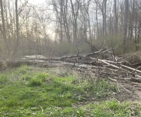 Powdermill Park