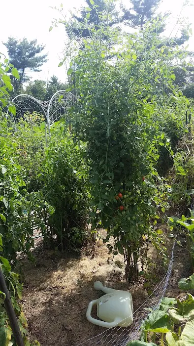 Morris County Community Gardens Picture 6
