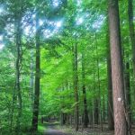 Morris County Community Gardens