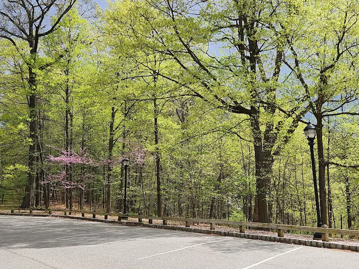 The Frelinghuysen Arboretum Picture 5